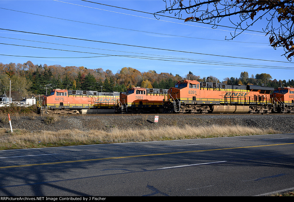 BNSF 8391